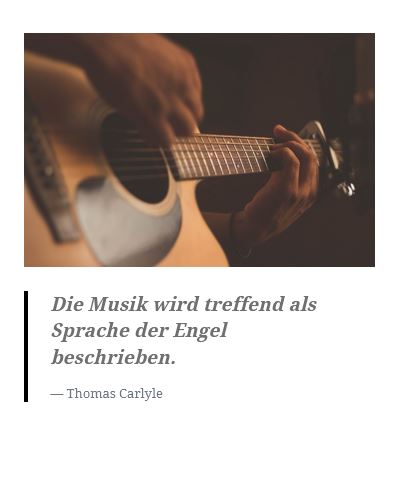 Bild eines Gitarrenspielers